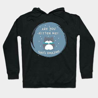 Are you Kitten me ? Hoodie